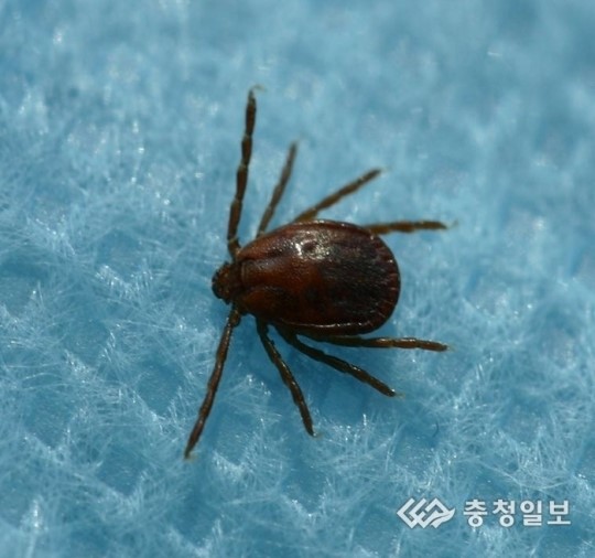 5∼8월 야외활동 자제하세요