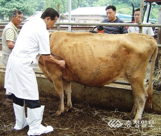 축산농 가축 무료 순회 진료