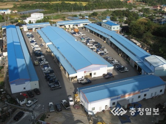 제천 신월 농수산물 유통단지김장철 맞아 소비자 발길 북적