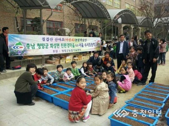 칠갑산 산야초 재배하는 꼬마농부들
