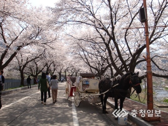 53℃ 힐링 체험하러 오세요