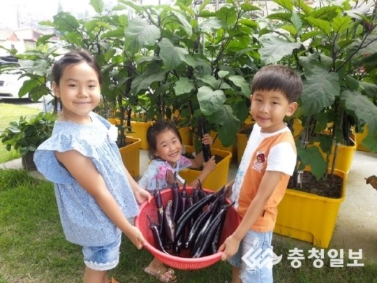 나는야 꼬마 농부 상자텃밭 보급