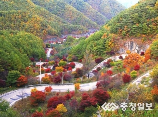 단양 보발재 품어안은 붉은비단