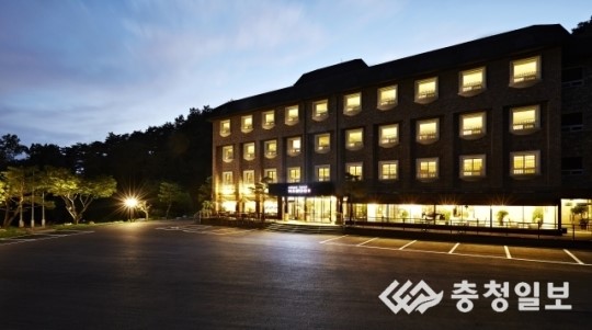 힐링의 명소 유니크 호텔 나무