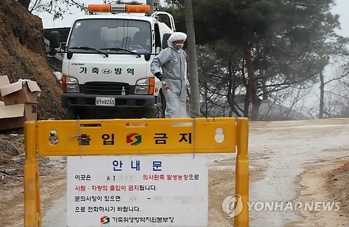 경기남부 구제역에 AI까지…축산기반 흔들