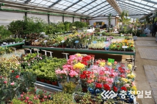봄바람 꽃 향기 솔솔