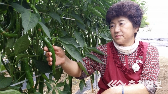 EM발효액이 청정농산물 생산에 일등공신