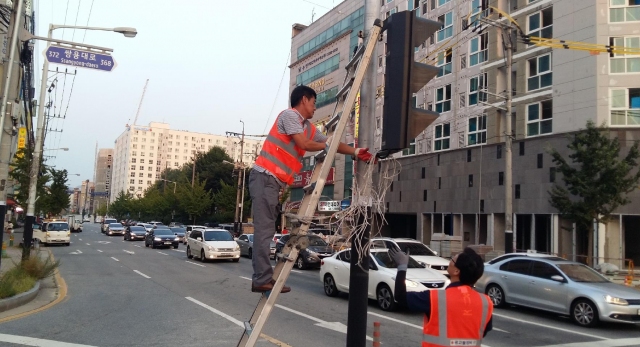 천안시 서북구청, 불법현수막 노끈 제거