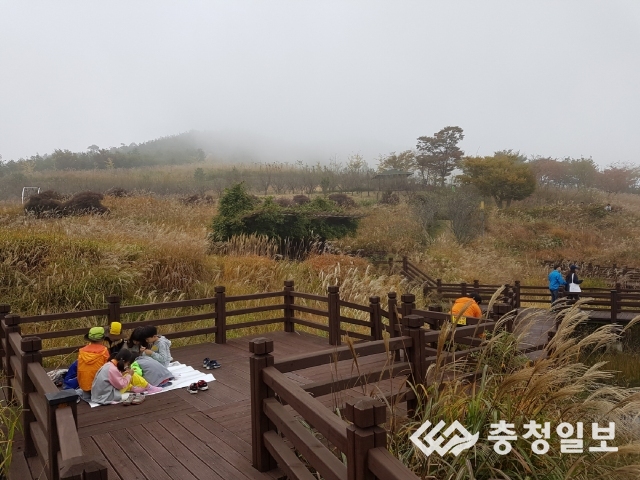 영인산은 지금 국화향 솔솔