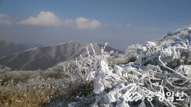 눈의 왕국 된 소백산