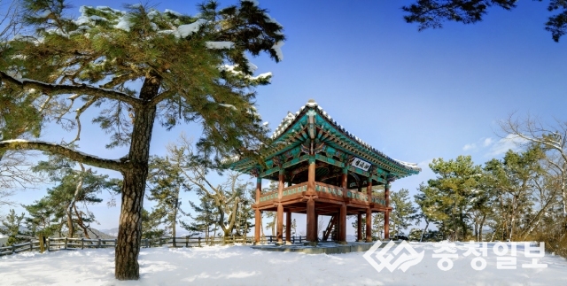 부여의 색입은 관광콘텐츠 만든다