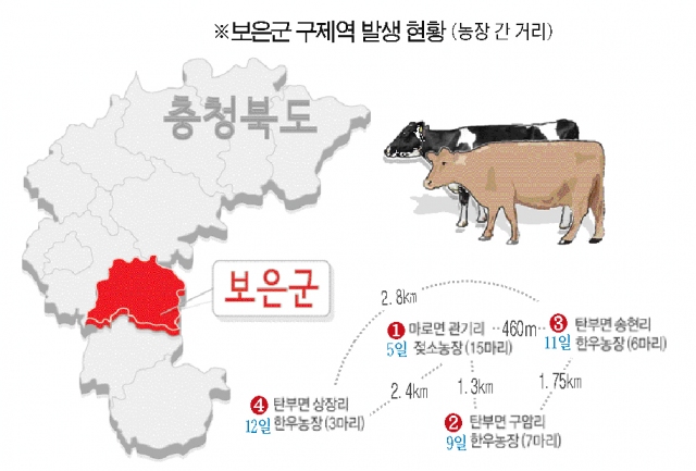 잇단 의심신고… 보은 구제역 창궐