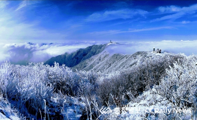 소백산서 즐기는 겨울산행