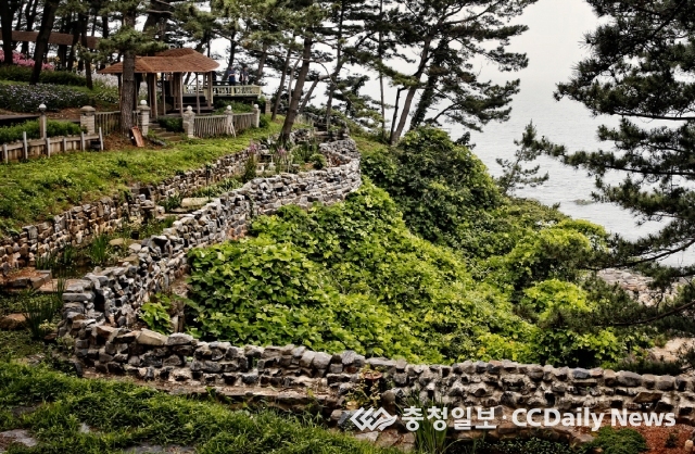 비밀의 정원 보령 상화원 내달 개장