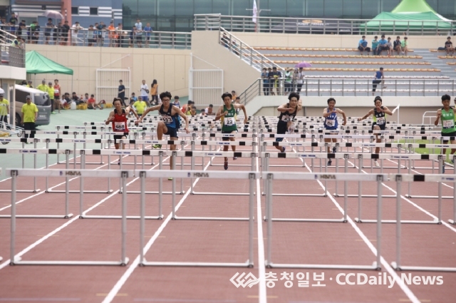 전국 육상인 보은군 러시