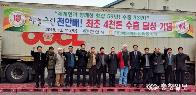 천안배 4000t 수출