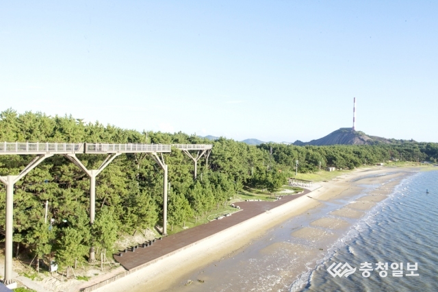 송림산림욕장, 휴양·체험 관광 거점 재탄생