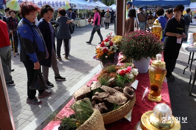 영동서 자연산 버섯축제 열린다