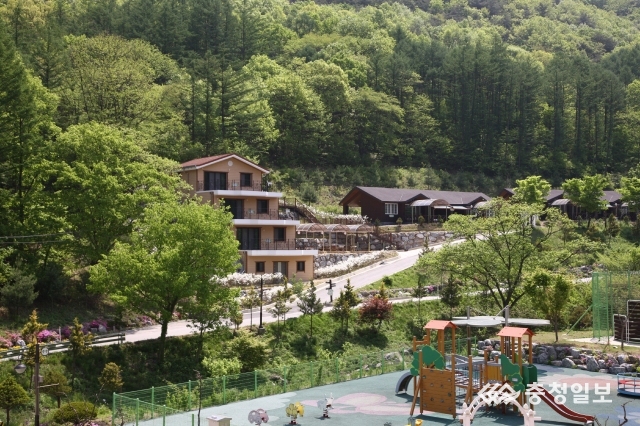 속리산알프스야영장