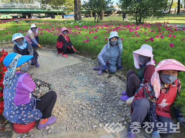 증평군평생학습관 홈패션 강좌 강사 및 수강생,재능나눔활동 3년째 이어져 눈길