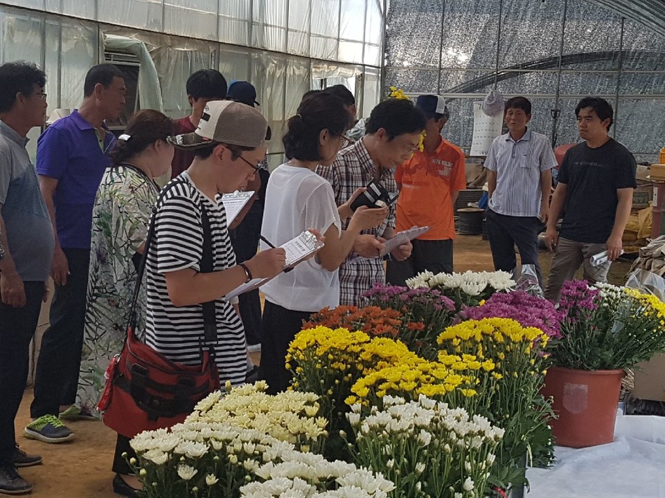 예산군 예산수출국화단지, 농산물전문생산단지 평가서 우수단지 선정