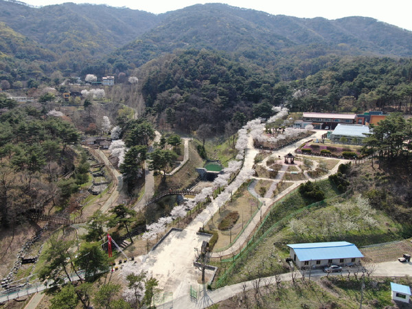 예산군 봉수산 자연휴양림, 숲 해설 프로그램 운영