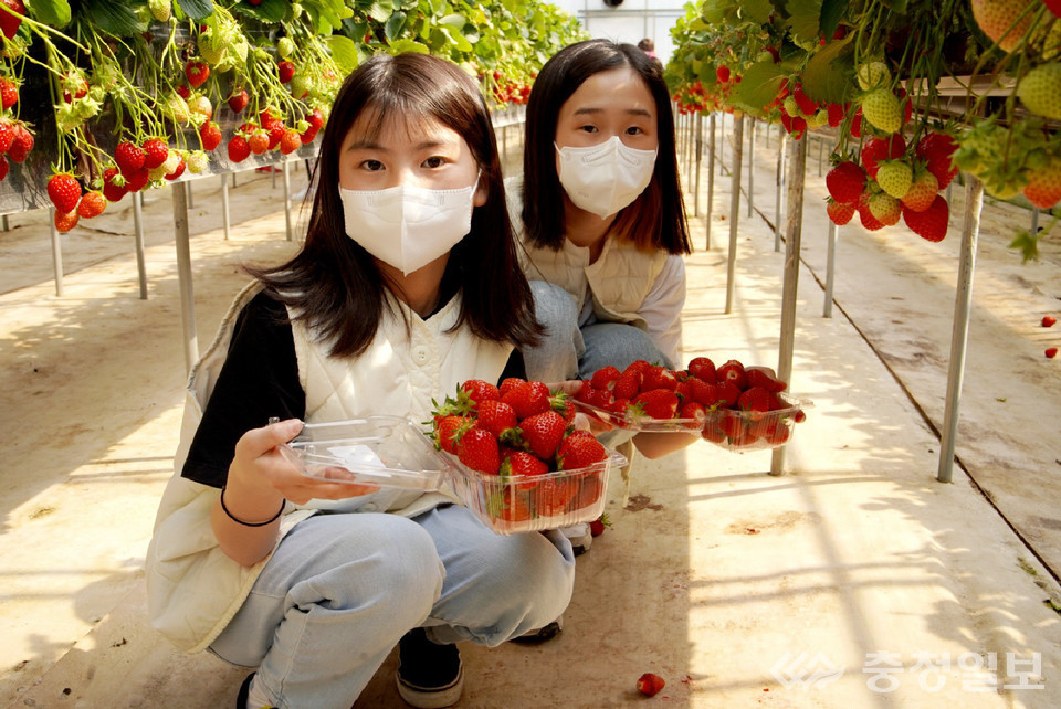 재)홍성군청소년복지재단, 