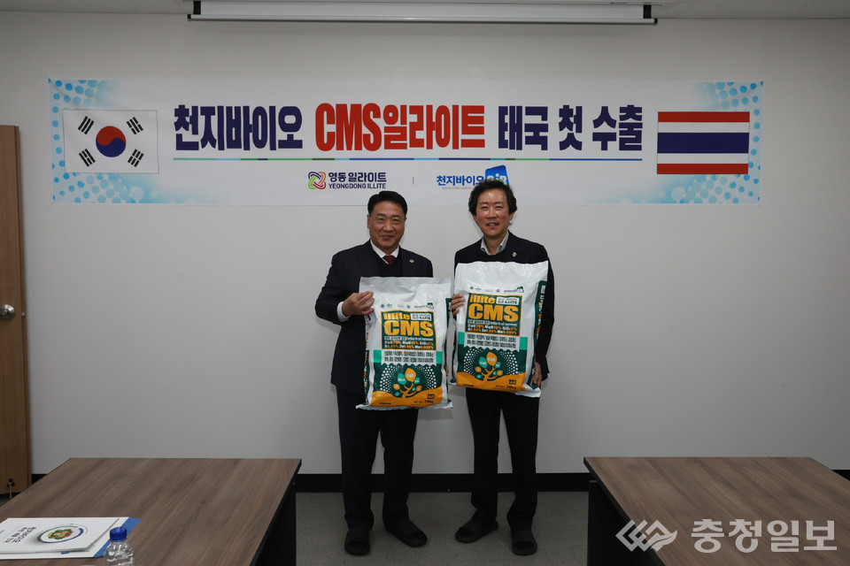 영동 일라이트, 세계무대 진출