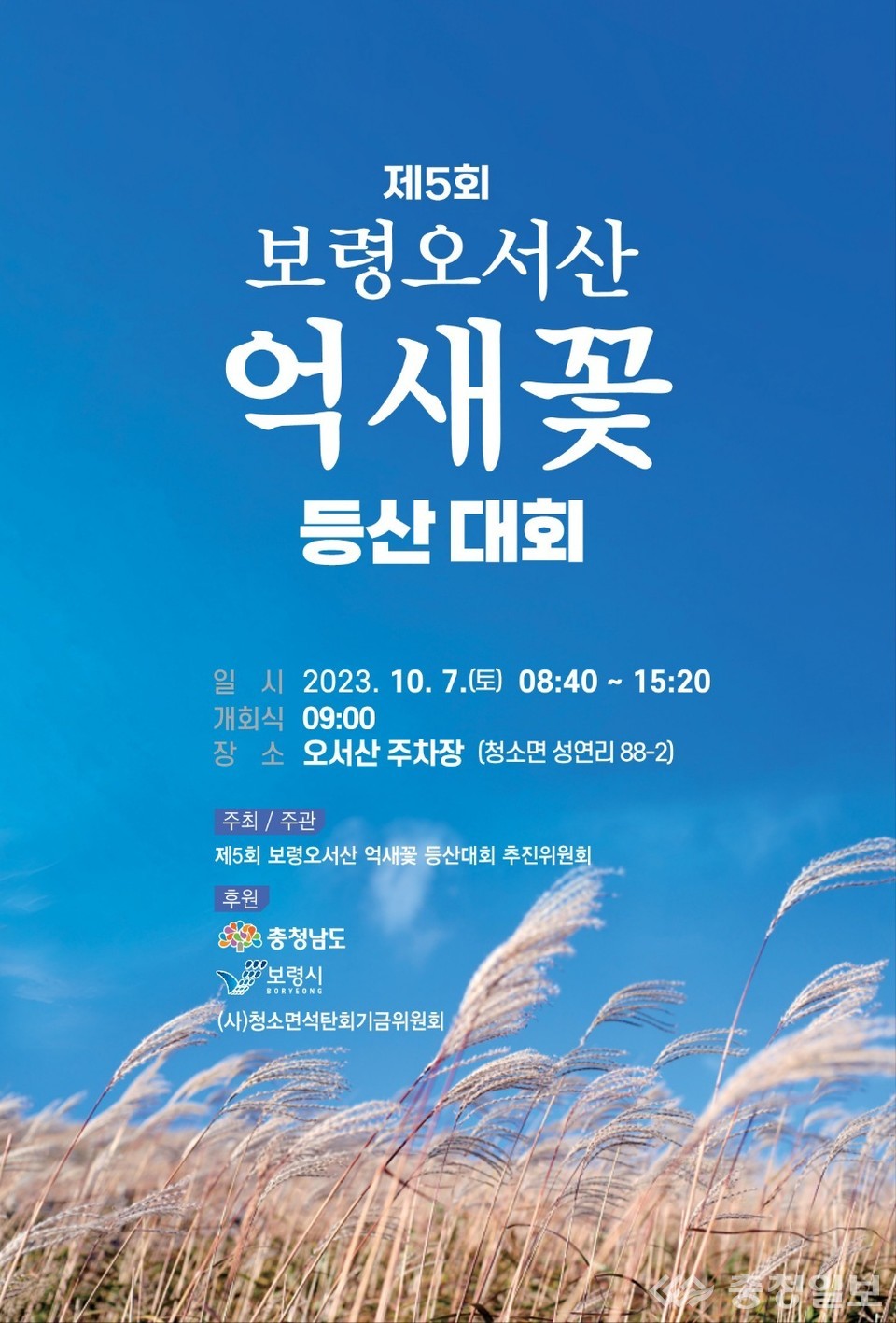 보령시, 은빛 물결의 장관 오서산 억새꽃 구경하러 오세요!