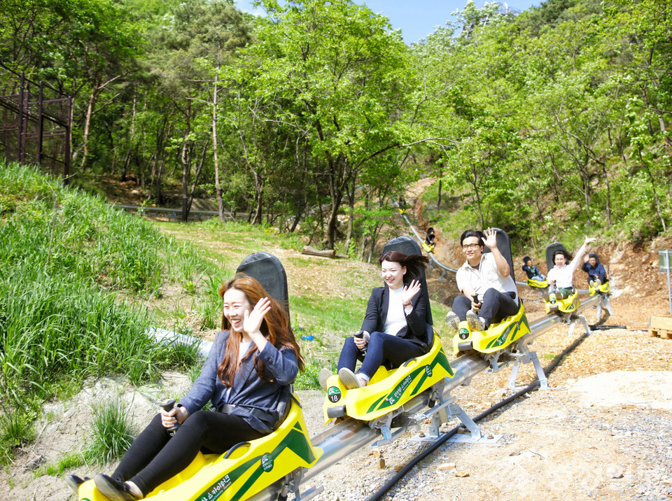 단양 만천하 알파인코스터 반값 할인