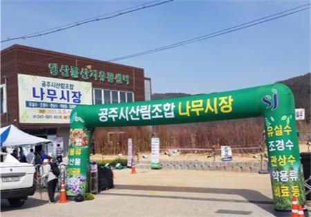 공주시산림조합, 2025년도 나무전시판매장 개장