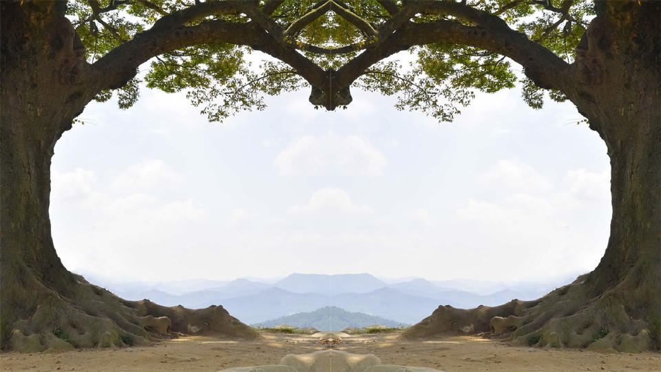 사랑이 깊어지는 곳, 부여 가림성 느티나무