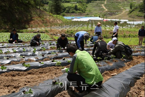 석탄공사, 해오름별말마을 1촌 1사 행사 열어