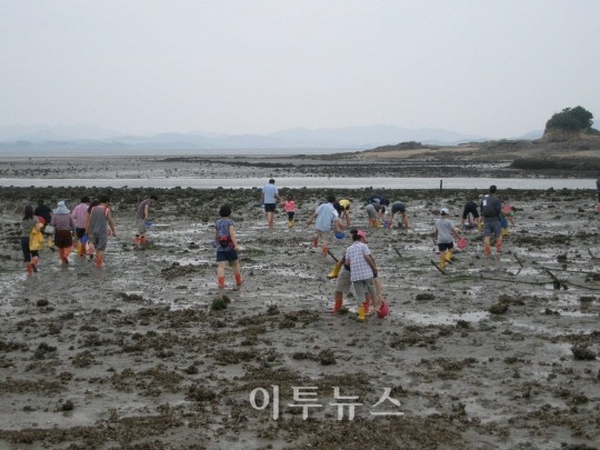 무안군, 무안으로 떠나는 웰빙 투어 운영