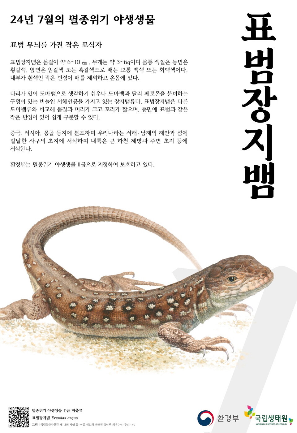 7월의 멸종위기 야생생물로 표범장지뱀 선정