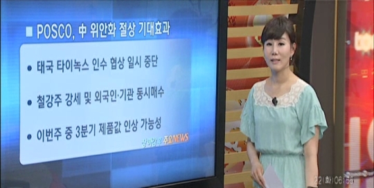 POSCO, 태국 타이녹스 인수협상 일시 중단