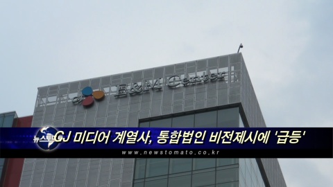 CJ 미디어 계열사, 통합법인 비전제시에 급등