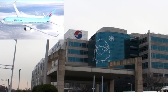 쌓여있는 대한항공 행정처분..언제 마무리되나