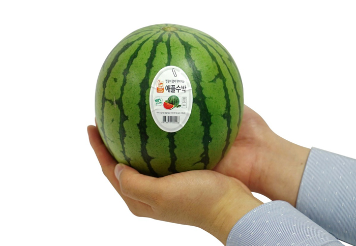 세븐일레븐, 1인가구 겨냥 미니수박 선봬