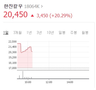 한진칼우, 주주가치 제고 확대 발표에...상한가 근접