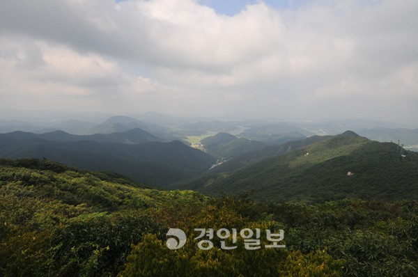 [송수복과 떠나는 즐거운 산행] 전남 영광 불갑산