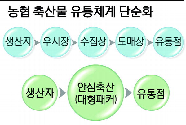 농협 유통체계 2단계 줄여 축산물 소비자價 8% 인하