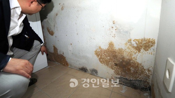 단열재 시공 깜빡 황당한 펜트하우스