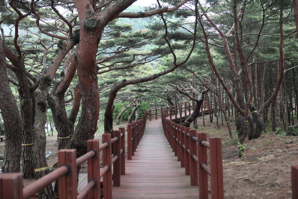 여름휴가 막바지 가볼만한 인천 섬
