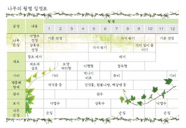 초록 꿈 움트는 나무 희망 뿌리다