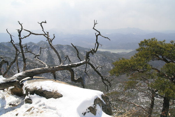 [송수복과 떠나는 즐거운 산행]충북 제천 저승봉(596m)