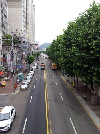 [길에서 뿌리를 찾다·15·끝]안양 시흥로(현 만안로)