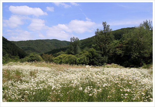[송수복과 떠나는 즐거운 산행]경기 안성 서운산(瑞雲山,547.4m)