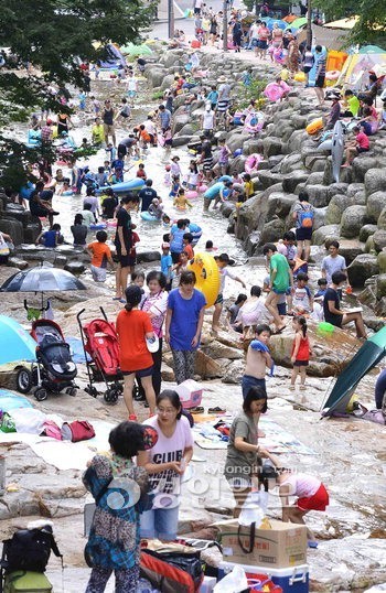 막바지 피서 관악산 계곡 물반 사람반