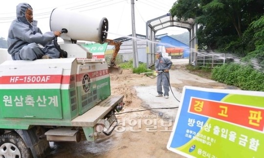 [역대 최악의 조류인플루엔자·1]기온상승=종식 공식 깬 신종바이러스